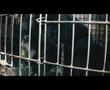 亚洲动物基金拍摄纪录片《月亮熊》